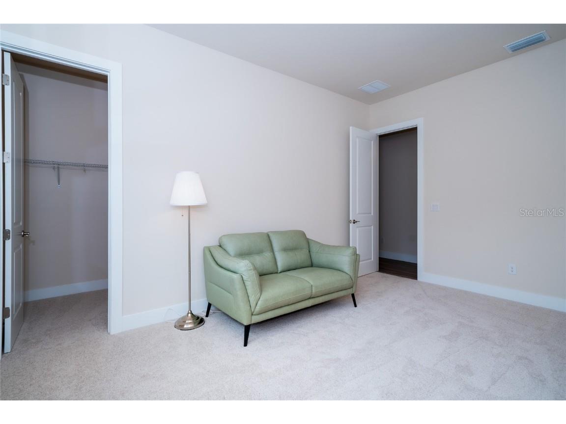 8834 Sanders Tree Loop Wesley Chapel FL 33545 TB8388543 image23