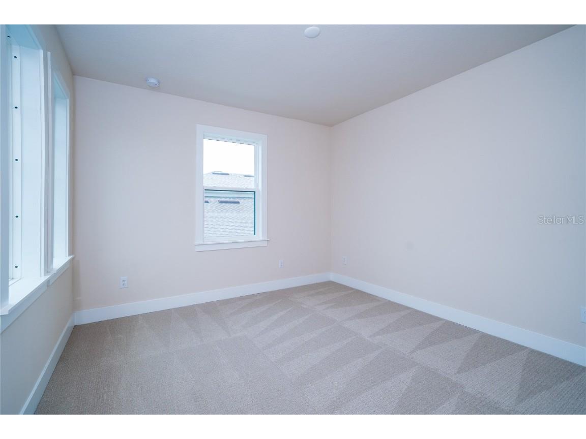 8834 Sanders Tree Loop Wesley Chapel FL 33545 TB8388543 image40