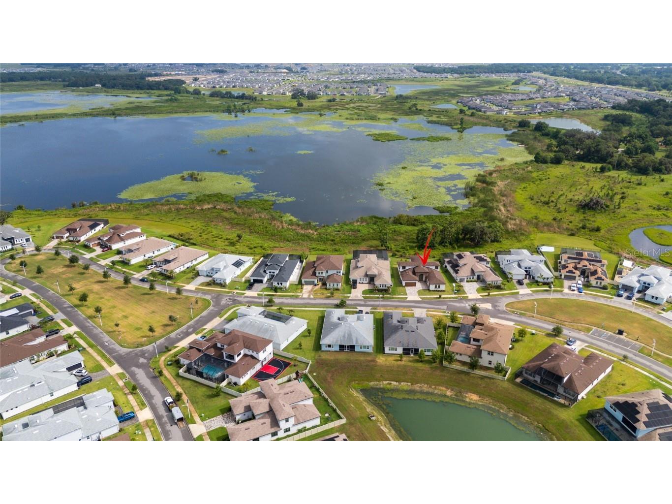 8834 Sanders Tree Loop Wesley Chapel FL 33545 TB8388543 image44