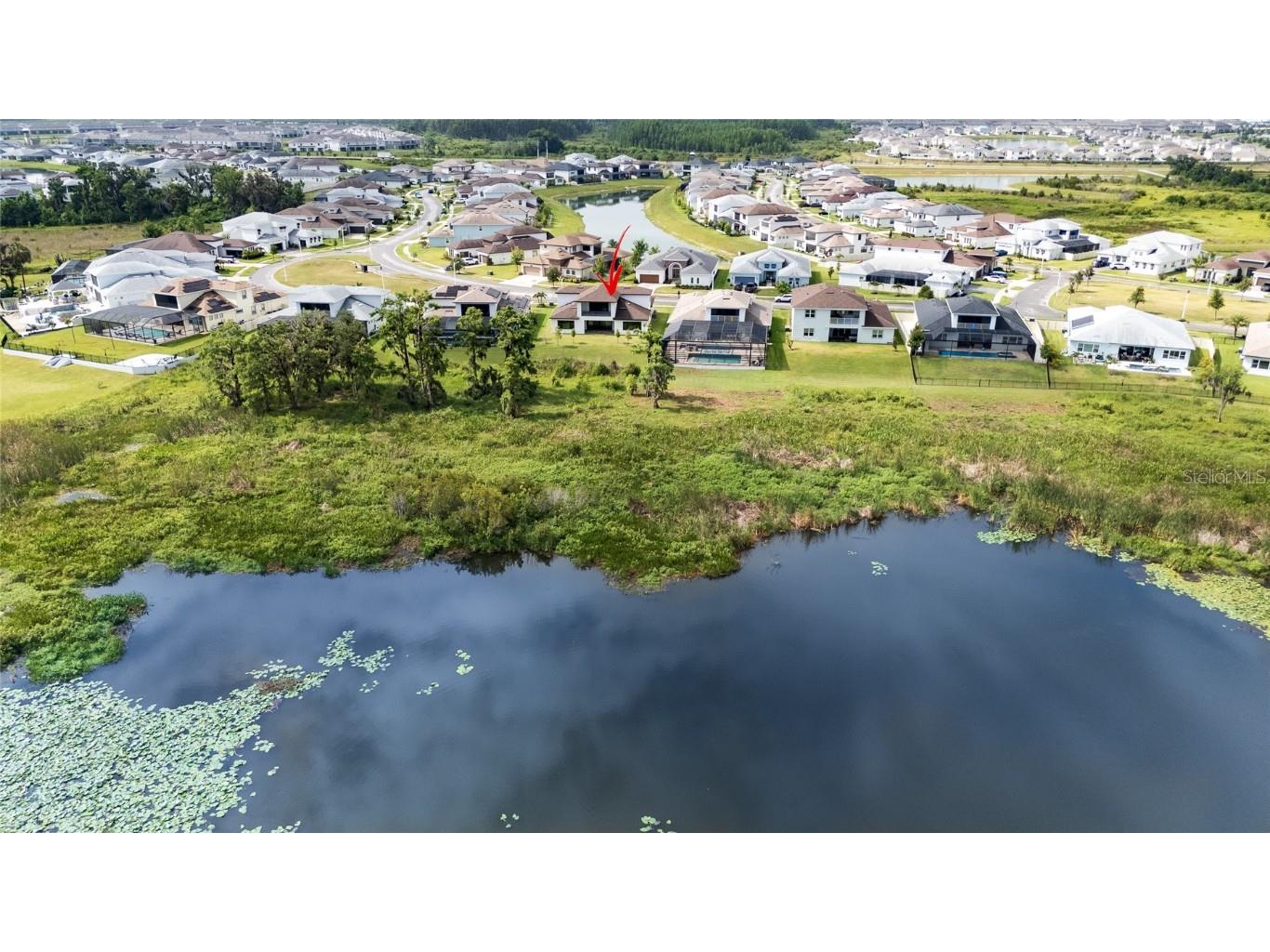 8834 Sanders Tree Loop Wesley Chapel FL 33545 TB8388543 image46