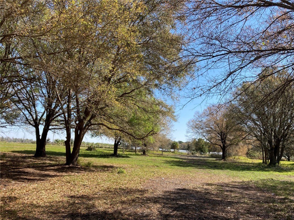 8835 State Road 674 Wimauma FL 33598 R4907670 image1