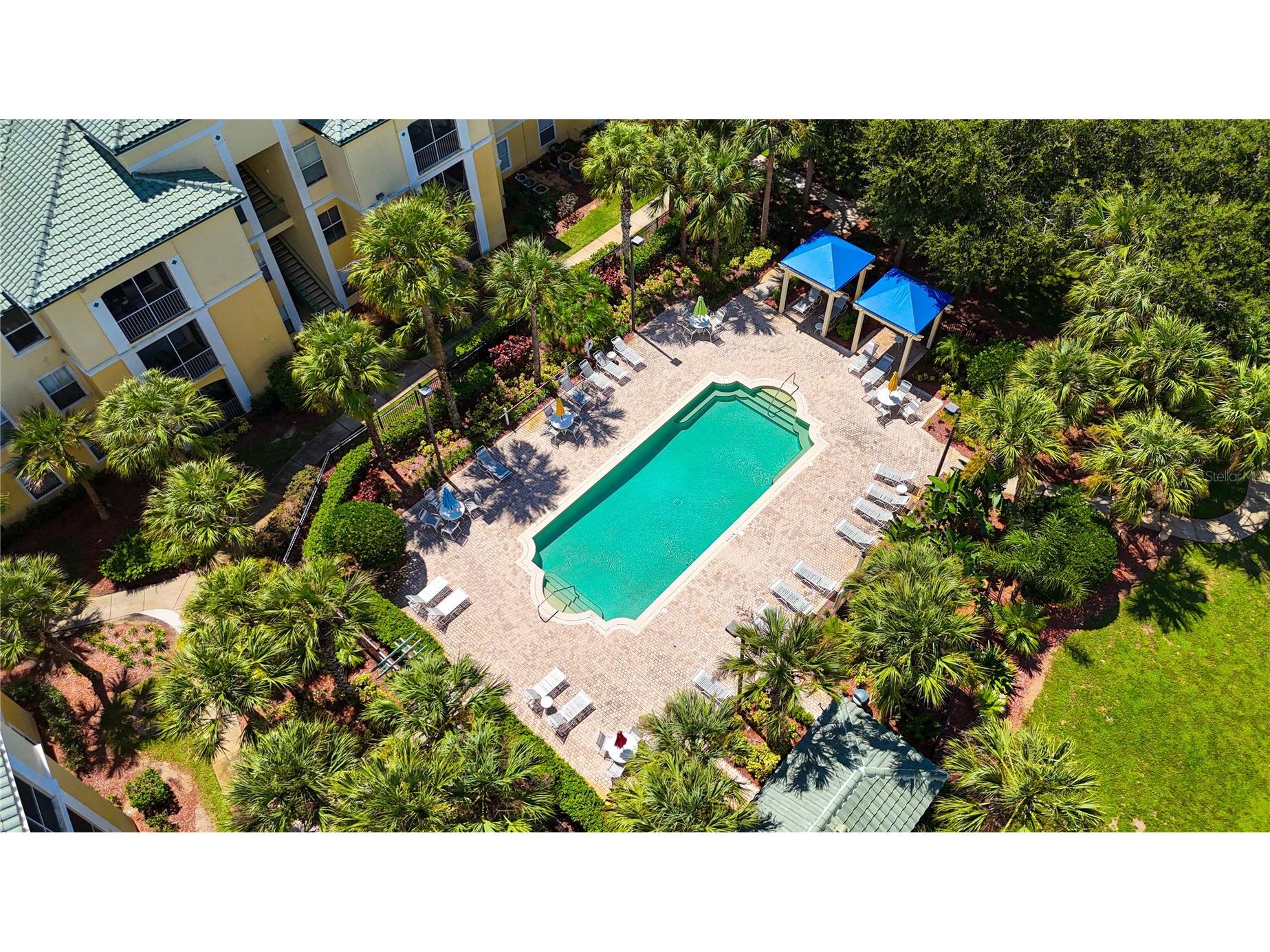 8836 Dunes Court #208 Kissimmee FL 34747 O6344221 image53