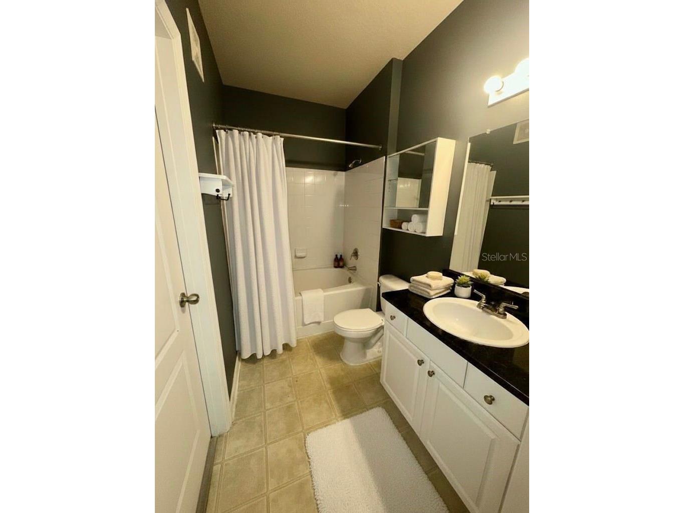 8836 Villa View Circle #208 Orlando FL 32821 S5143721 image10