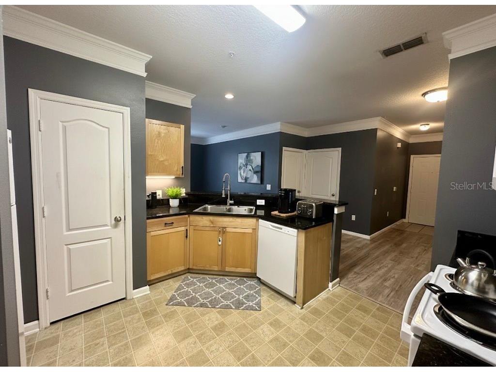 8836 Villa View Circle #208 Orlando FL 32821 S5143721 image5