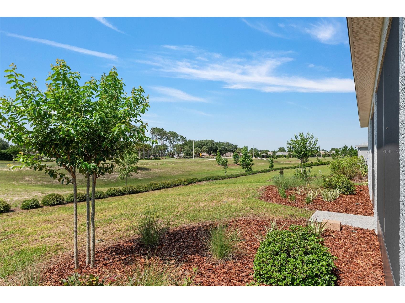 8837 SW 79th Loop Ocala FL 34481 OM724818 image50