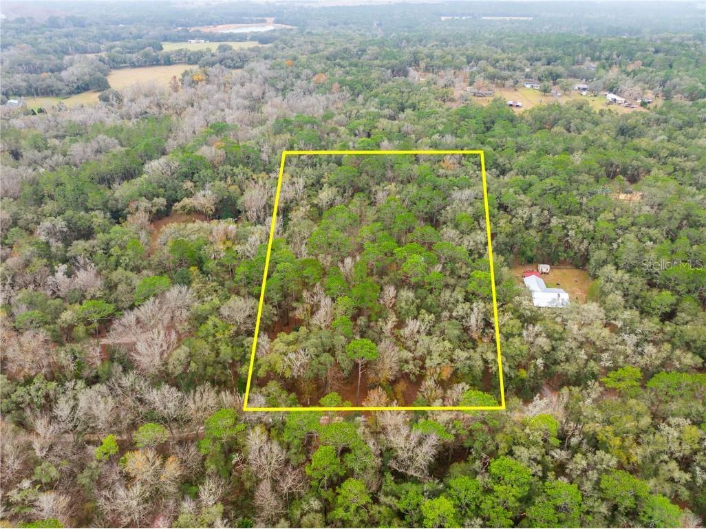 8838 E Cassex Lane Floral City FL 34436 T3497466 image1