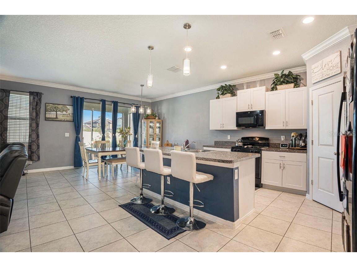 8838 Flourish Drive Land O Lakes FL 34637 TB8429475 image11