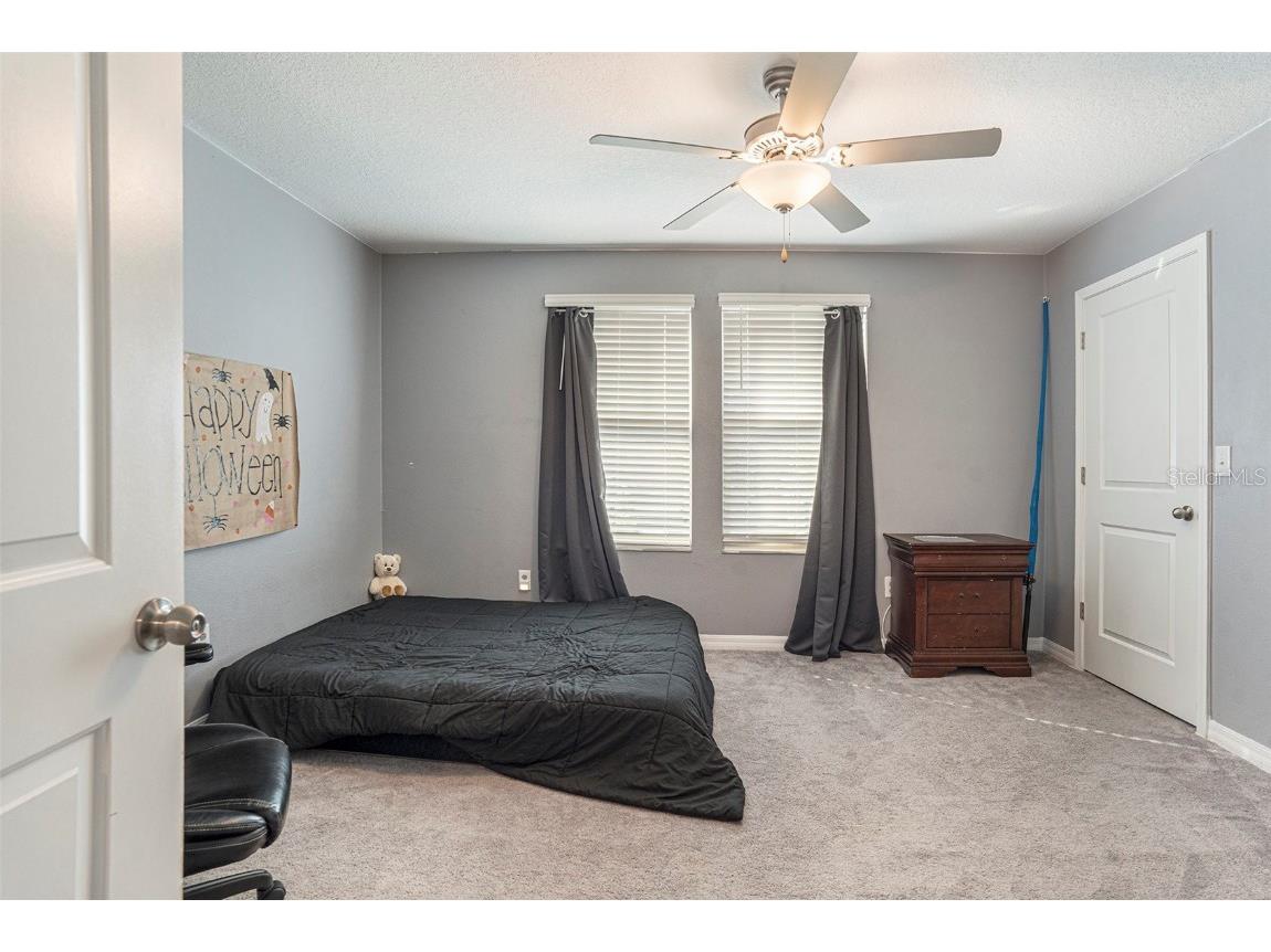 8838 Flourish Drive Land O Lakes FL 34637 TB8429475 image18