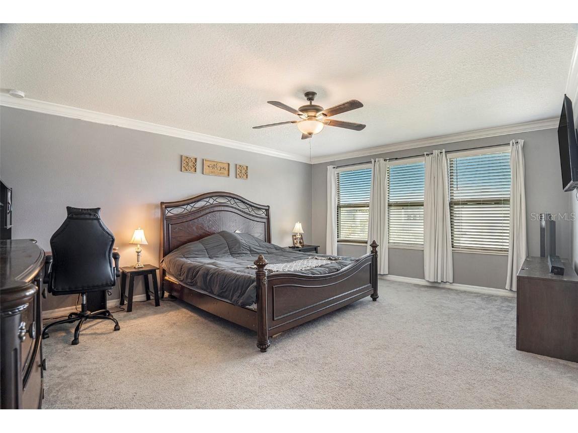 8838 Flourish Drive Land O Lakes FL 34637 TB8429475 image19