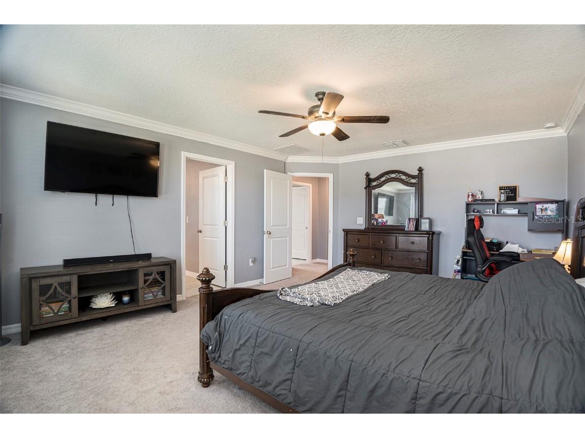 8838 Flourish Drive Land O Lakes FL 34637 TB8429475 image20