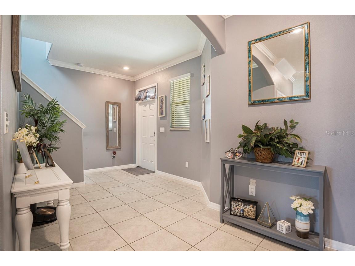 8838 Flourish Drive Land O Lakes FL 34637 TB8429475 image4