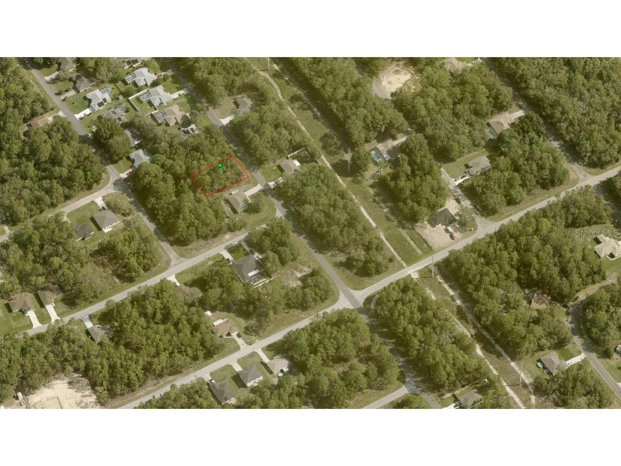 8838 N Travis Drive Citrus Springs FL 34434 OM665839 image1