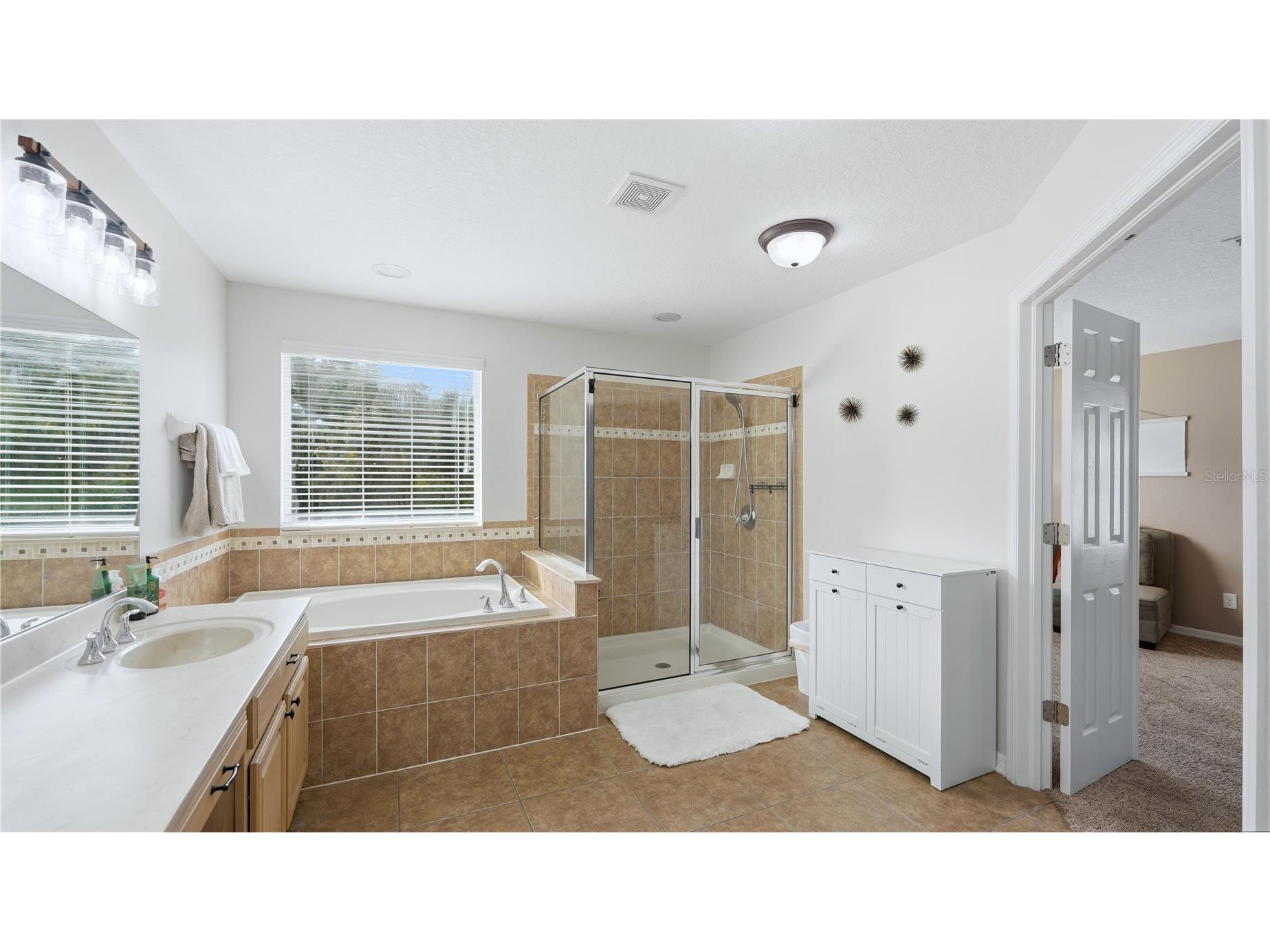 8839 39th Street Circle E Parrish FL 34219 A4697322 image38