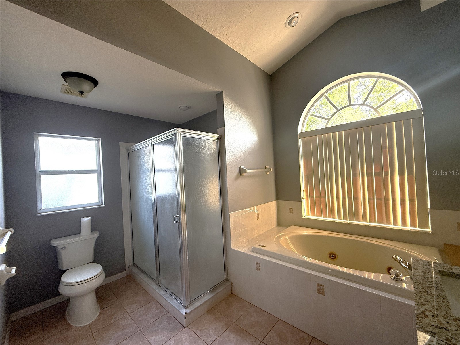 8839 Greenleaf Court Port Richey FL 34668 TB8486850 image16