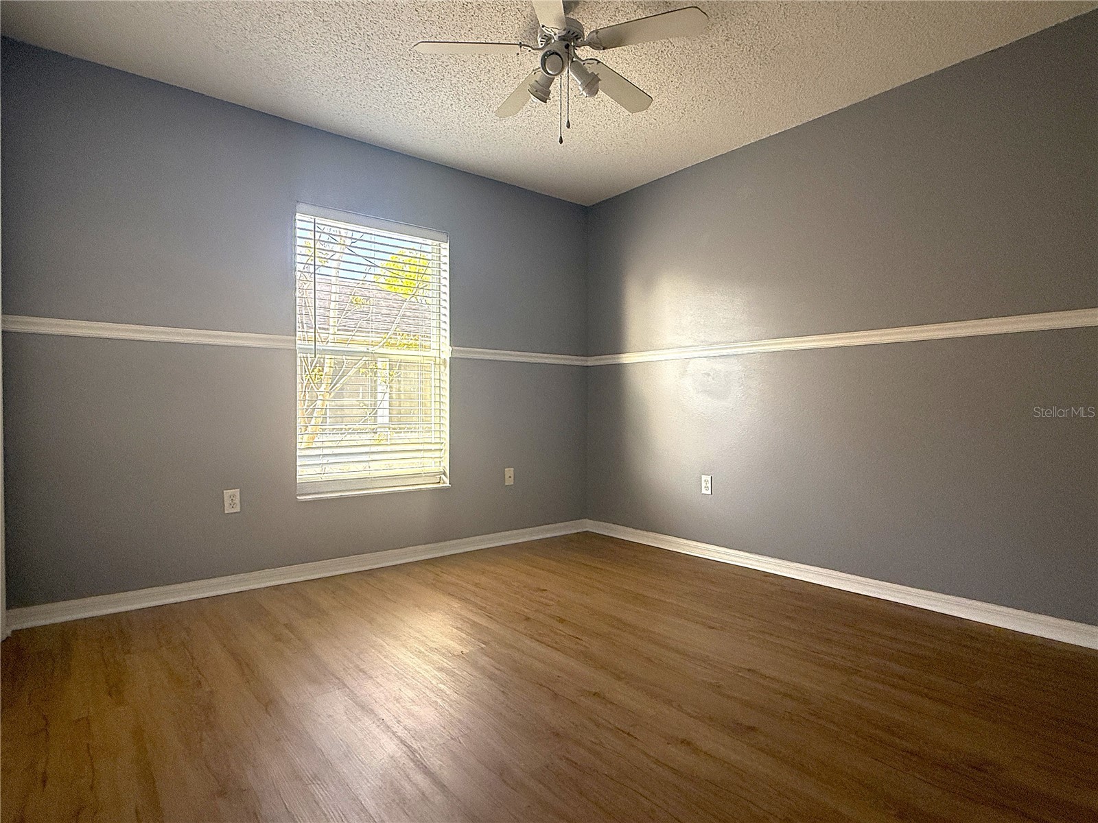 8839 Greenleaf Court Port Richey FL 34668 TB8486850 image21