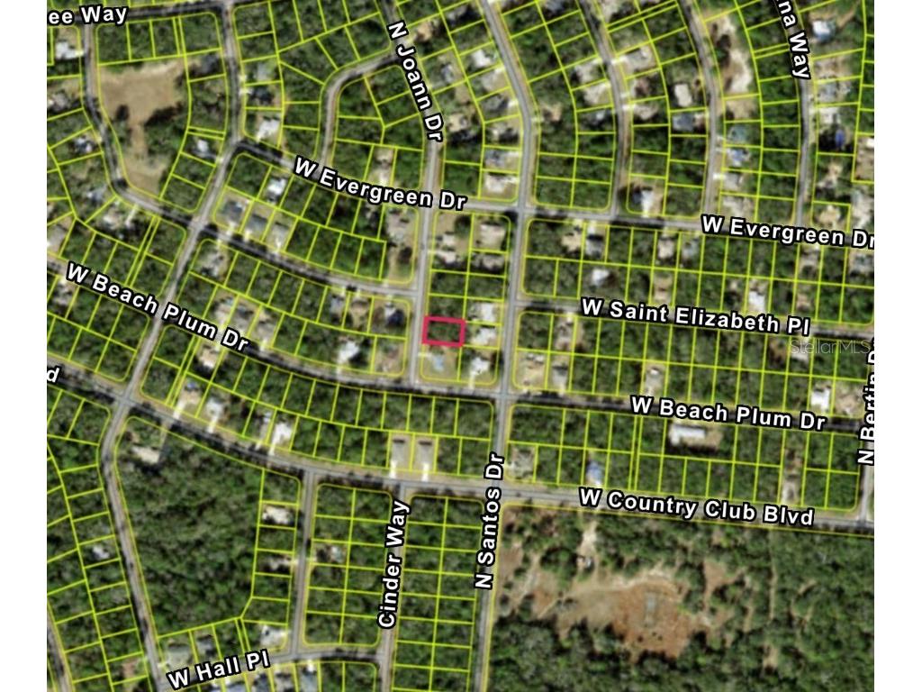 8839 N Joann Drive Citrus Springs FL 34434 O6307409 image1