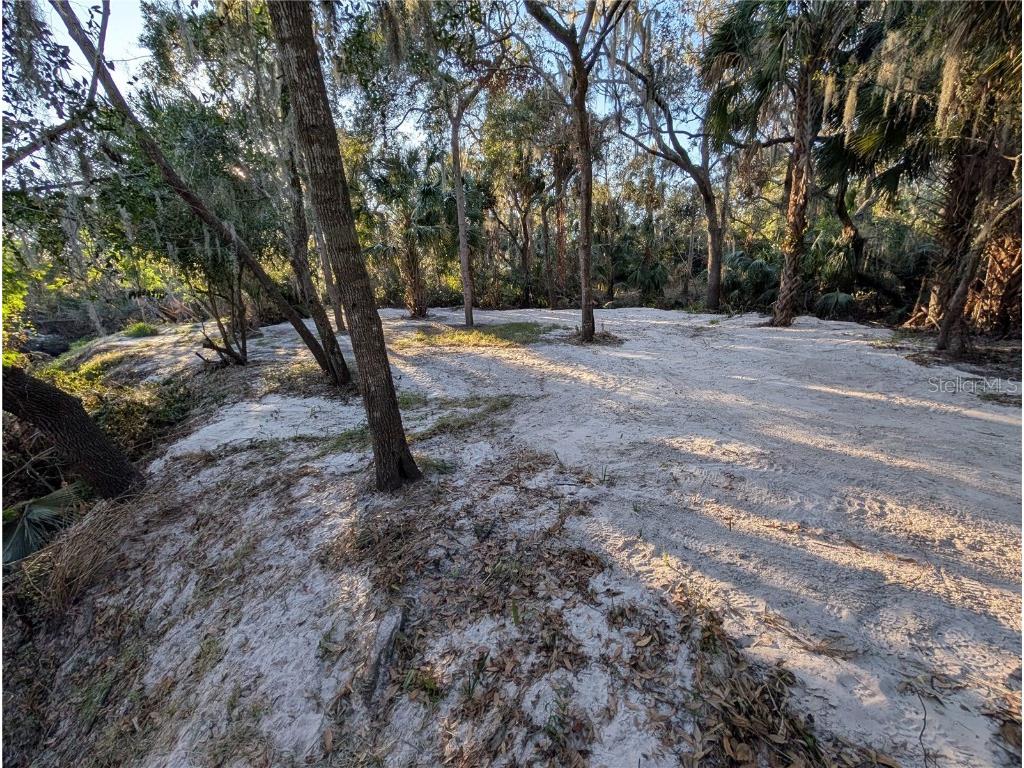 8839 Richmond Street Gibsonton FL 33534 TB8327503 image13