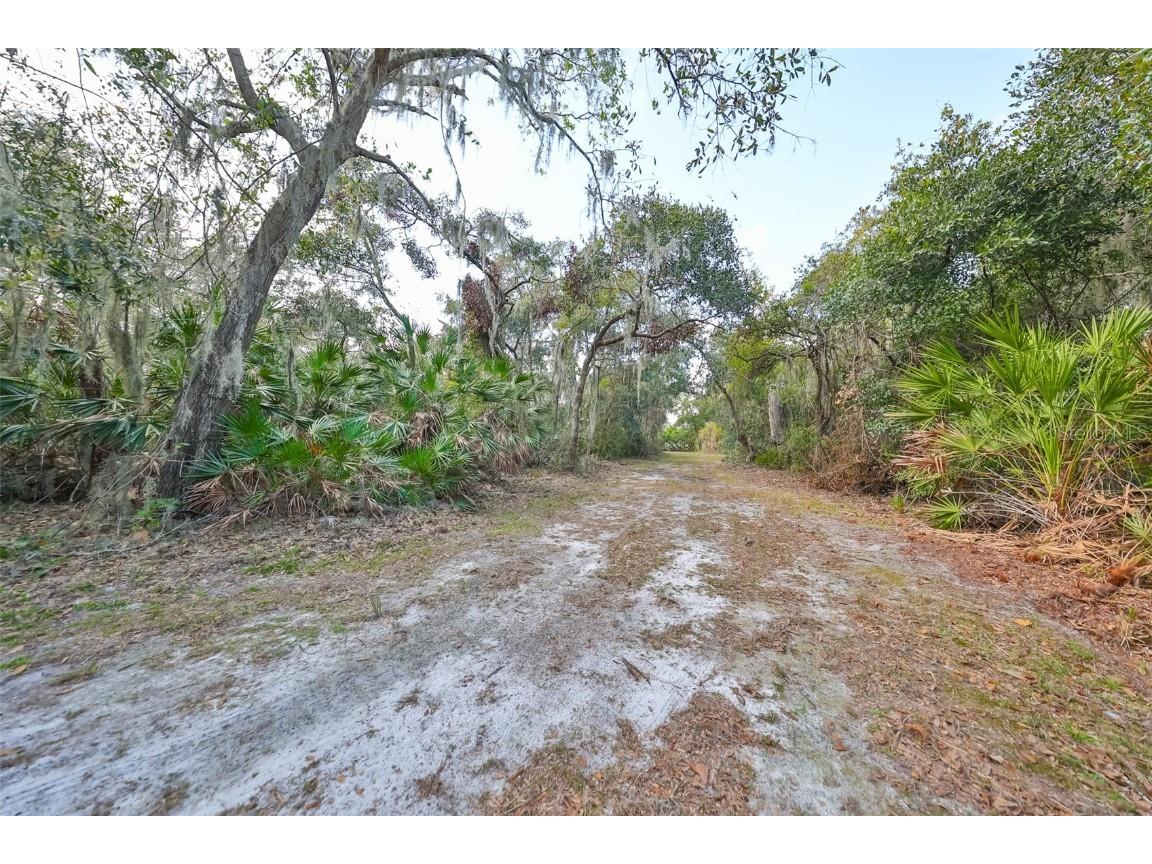 8839 Richmond Street Gibsonton FL 33534 TB8327503 image14