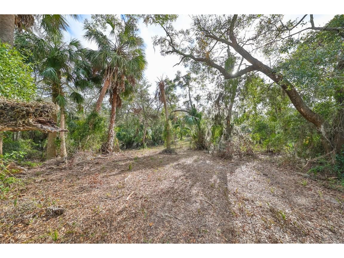 8839 Richmond Street Gibsonton FL 33534 TB8327503 image15