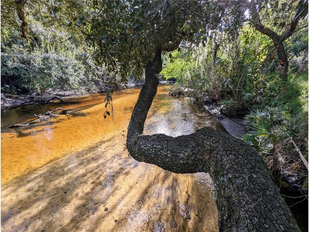 8839 Richmond Street Gibsonton FL 33534 TB8327503 image2