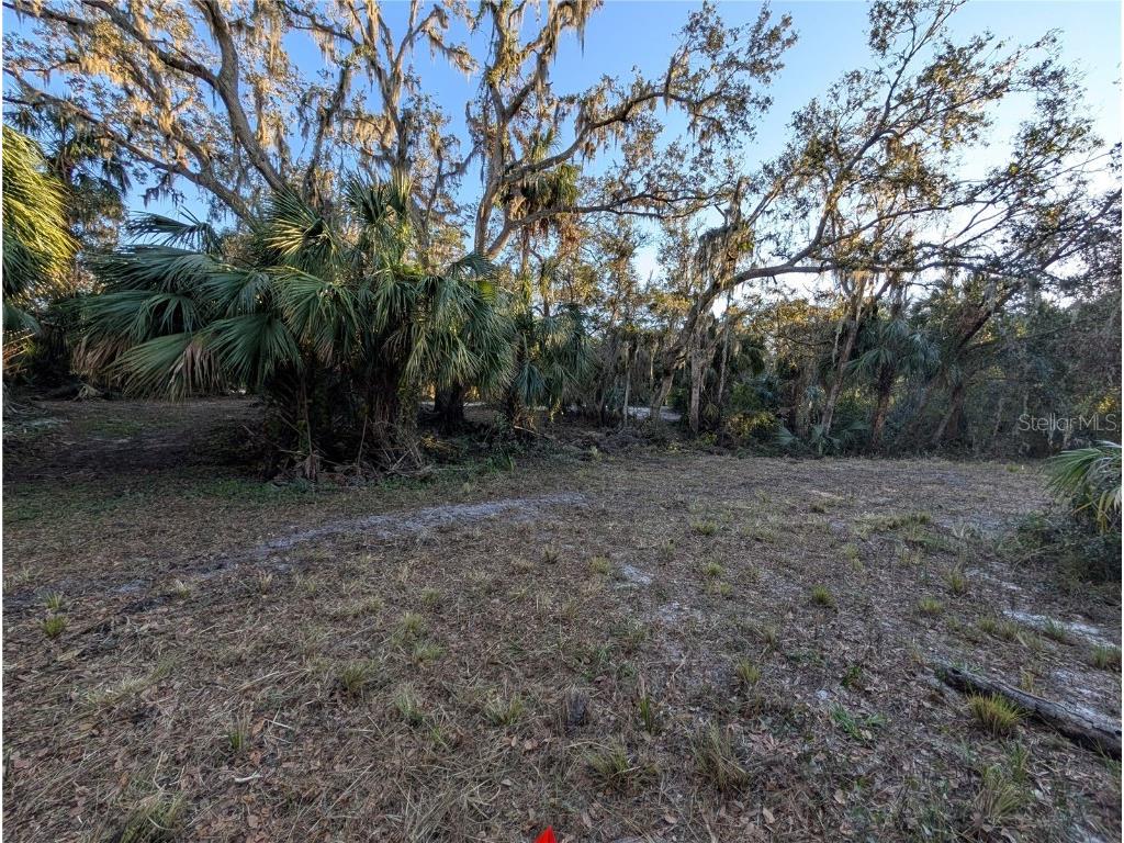 8839 Richmond Street Gibsonton FL 33534 TB8327503 image43