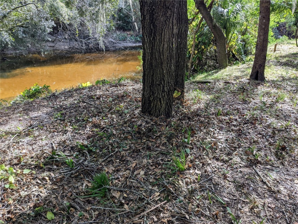 8839 Richmond Street Gibsonton FL 33534 TB8327503 image6