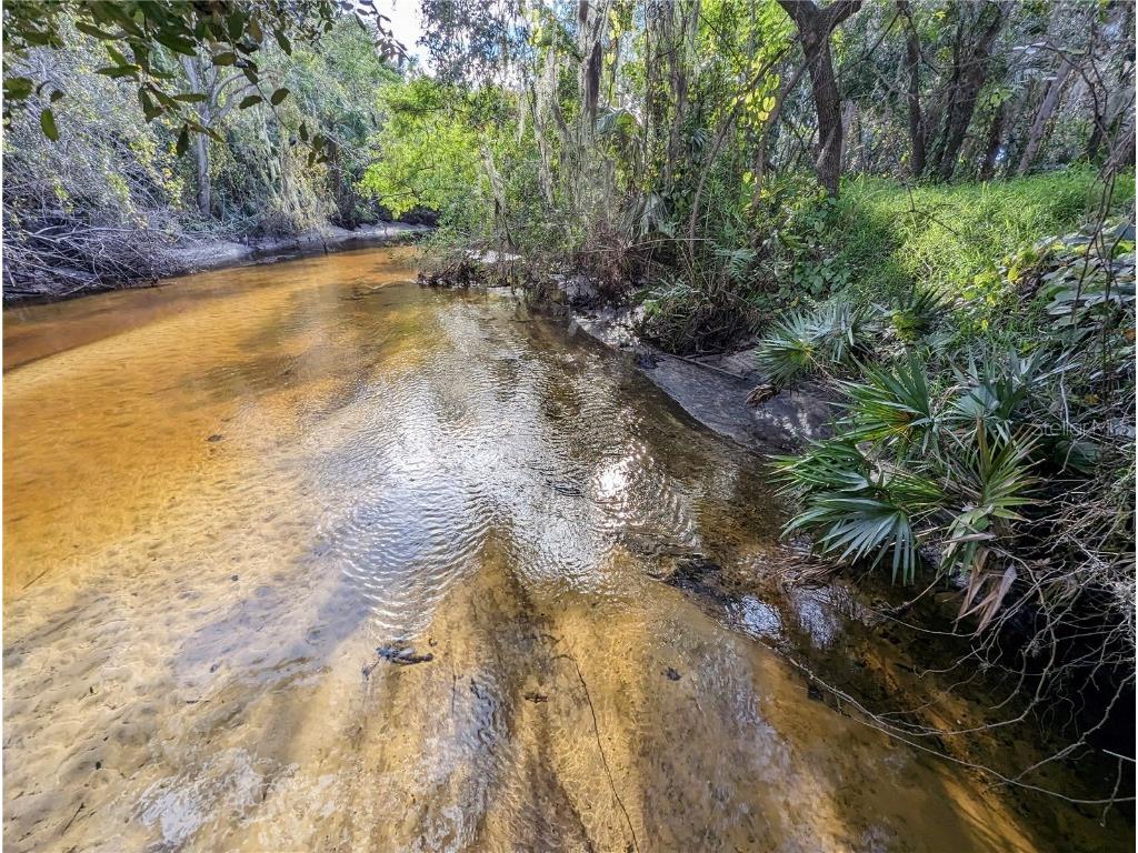 8839 Richmond Street Gibsonton FL 33534 TB8327503 image9