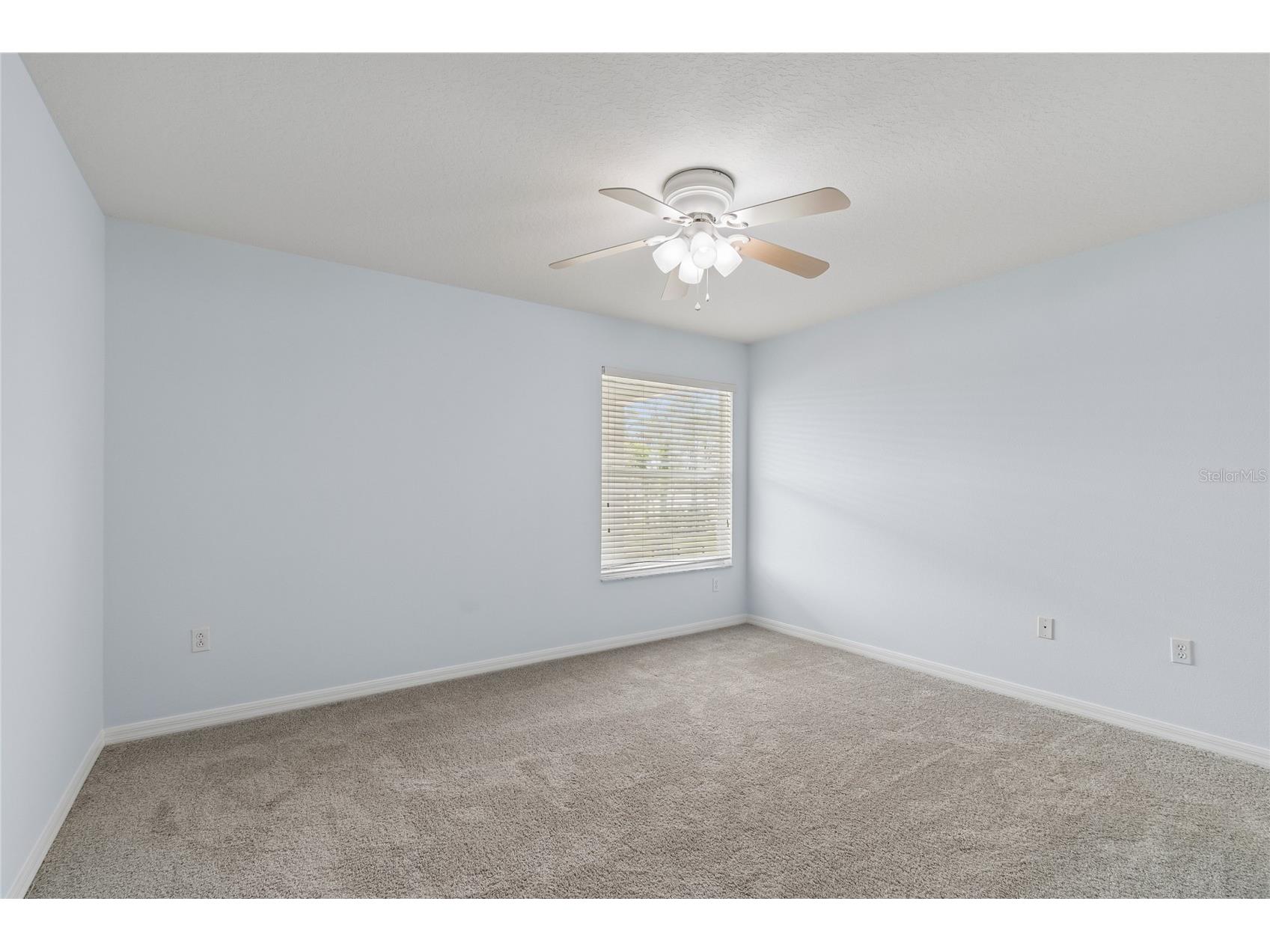 8840 Cameron Crest Drive Tampa FL 33626 TB8495082 image21