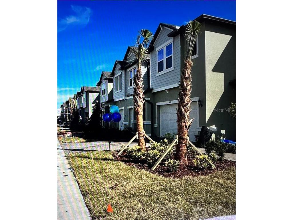8840 Gallantree Place Land O Lakes FL 34637 T3503175 image1