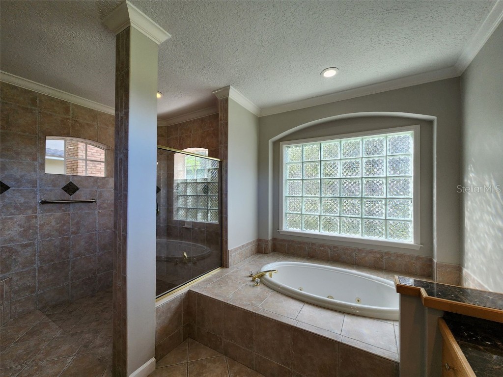 8841 Great Cove Drive Orlando FL 32819 S5135368 image25