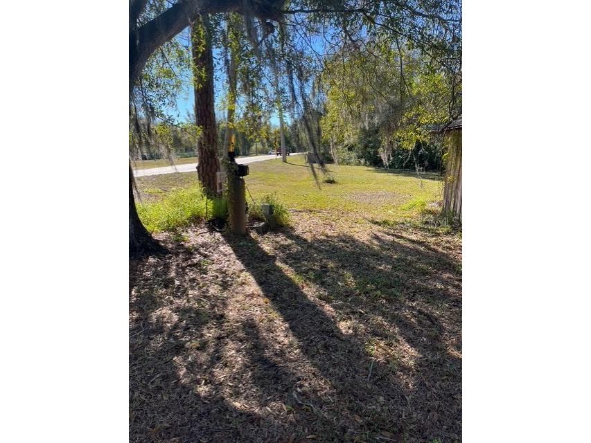 8841 S Mobley Road Odessa FL 33556 TB8467035 image4