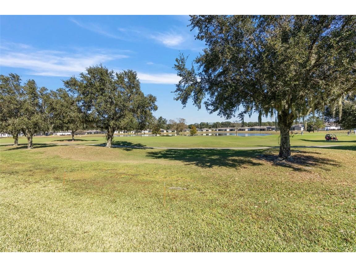 8843 SW 57th Place Road Ocala FL 34481 OM713388 image5