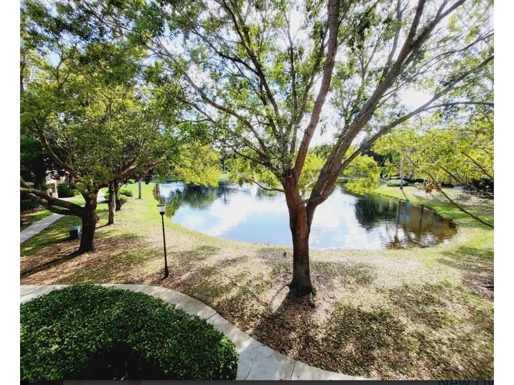 8843 Villa View Circle #207 Orlando FL 32821 O6363877 image26