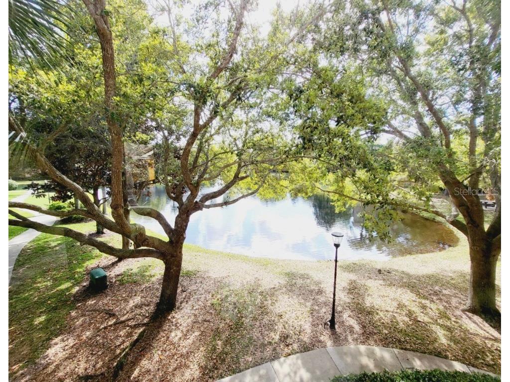 8843 Villa View Circle #207 Orlando FL 32821 O6363877 image30