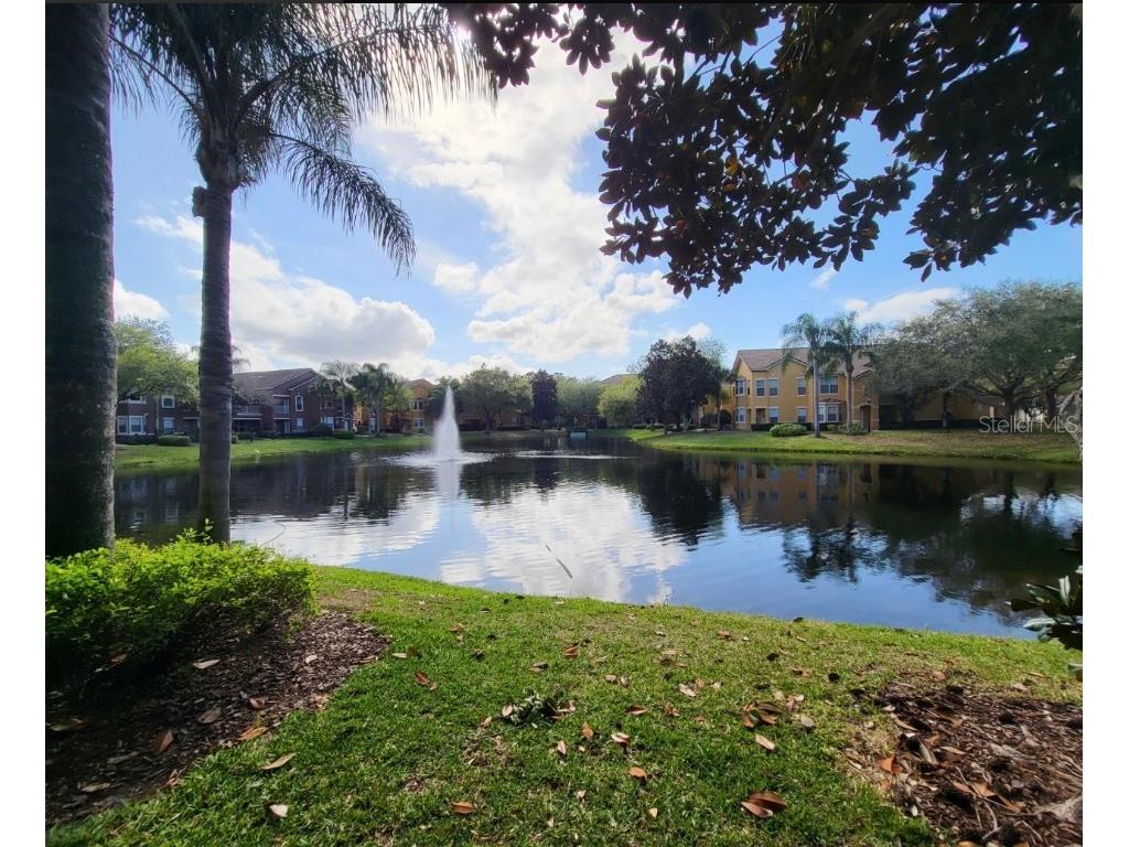 8843 Villa View Circle #207 Orlando FL 32821 O6363877 image31