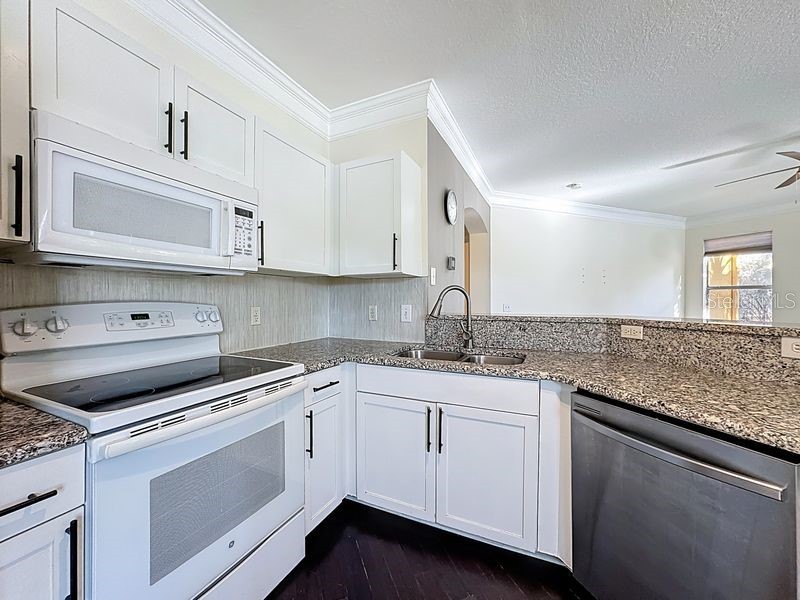 8843 Villa View Circle #207 Orlando FL 32821 S5139266 image11