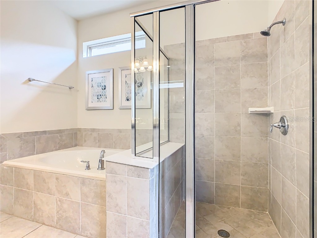 8844 Corcovado Drive Kissimmee FL 34747 O6247686 image23