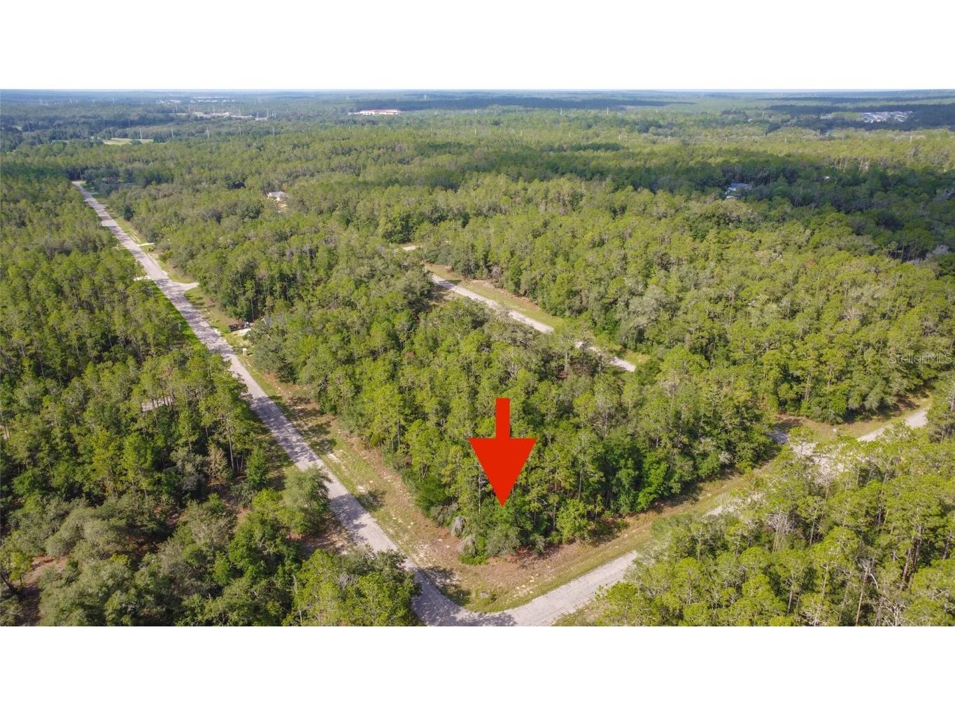 8844 N Teather Terrace Citrus Springs FL 34434 T3461484 image1