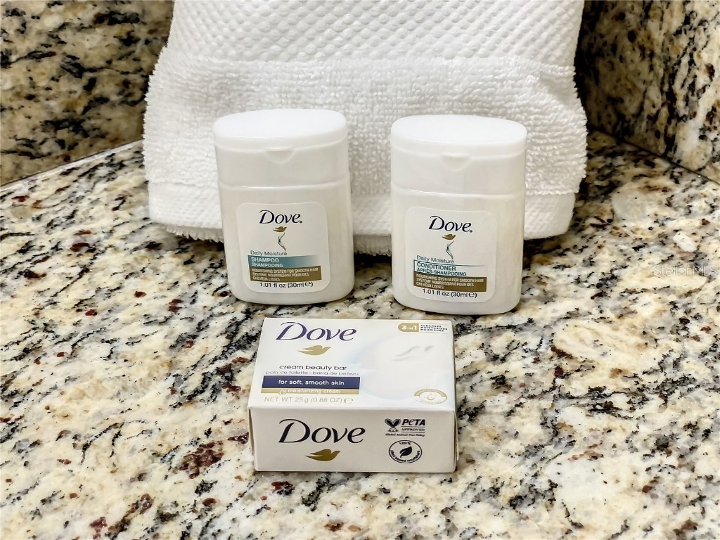 8845 Candy Palm Road Kissimmee FL 34747 O6291709 image37