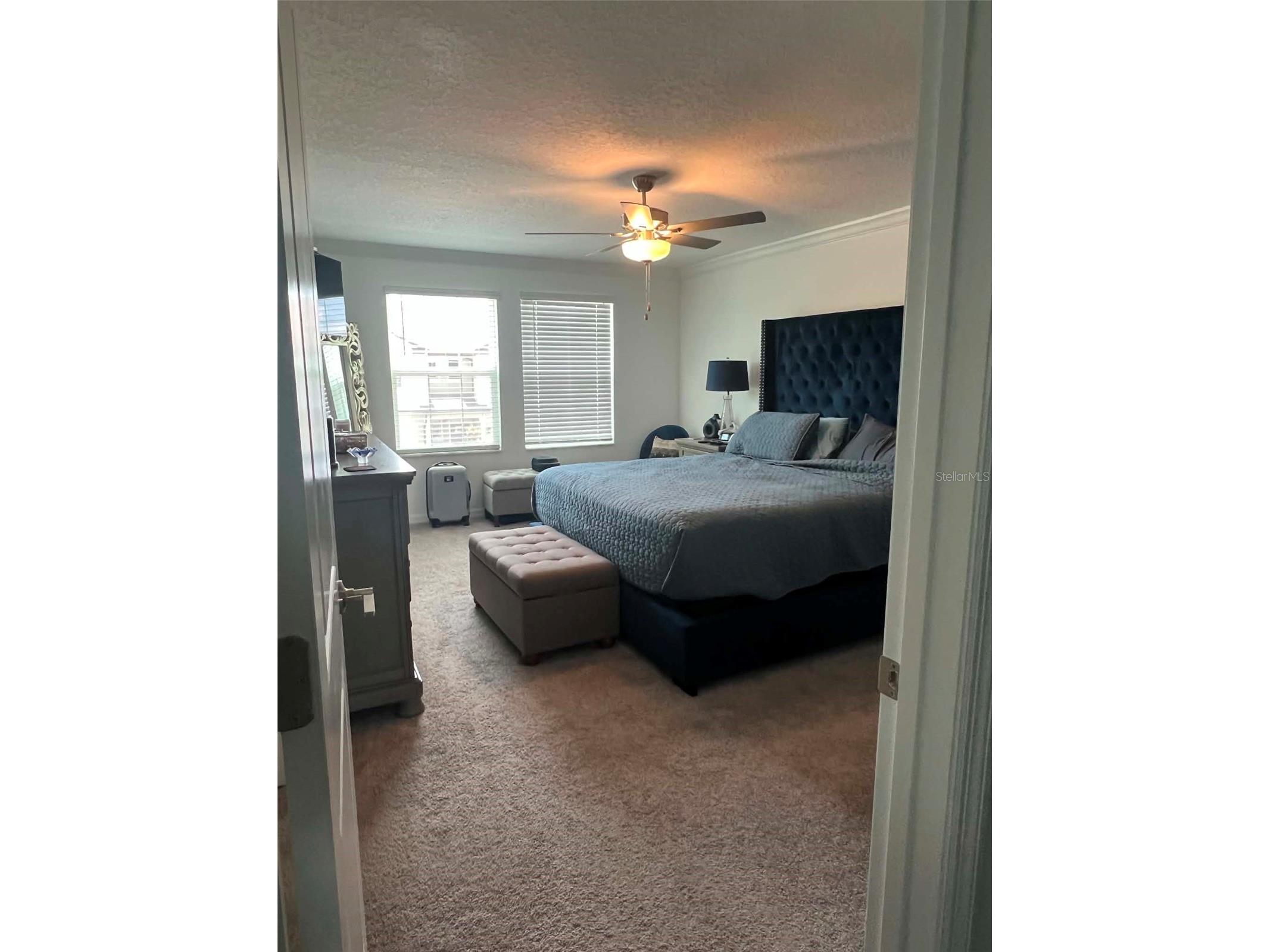 8845 Gallantree Place Land O Lakes FL 34637 TB8513015 image11