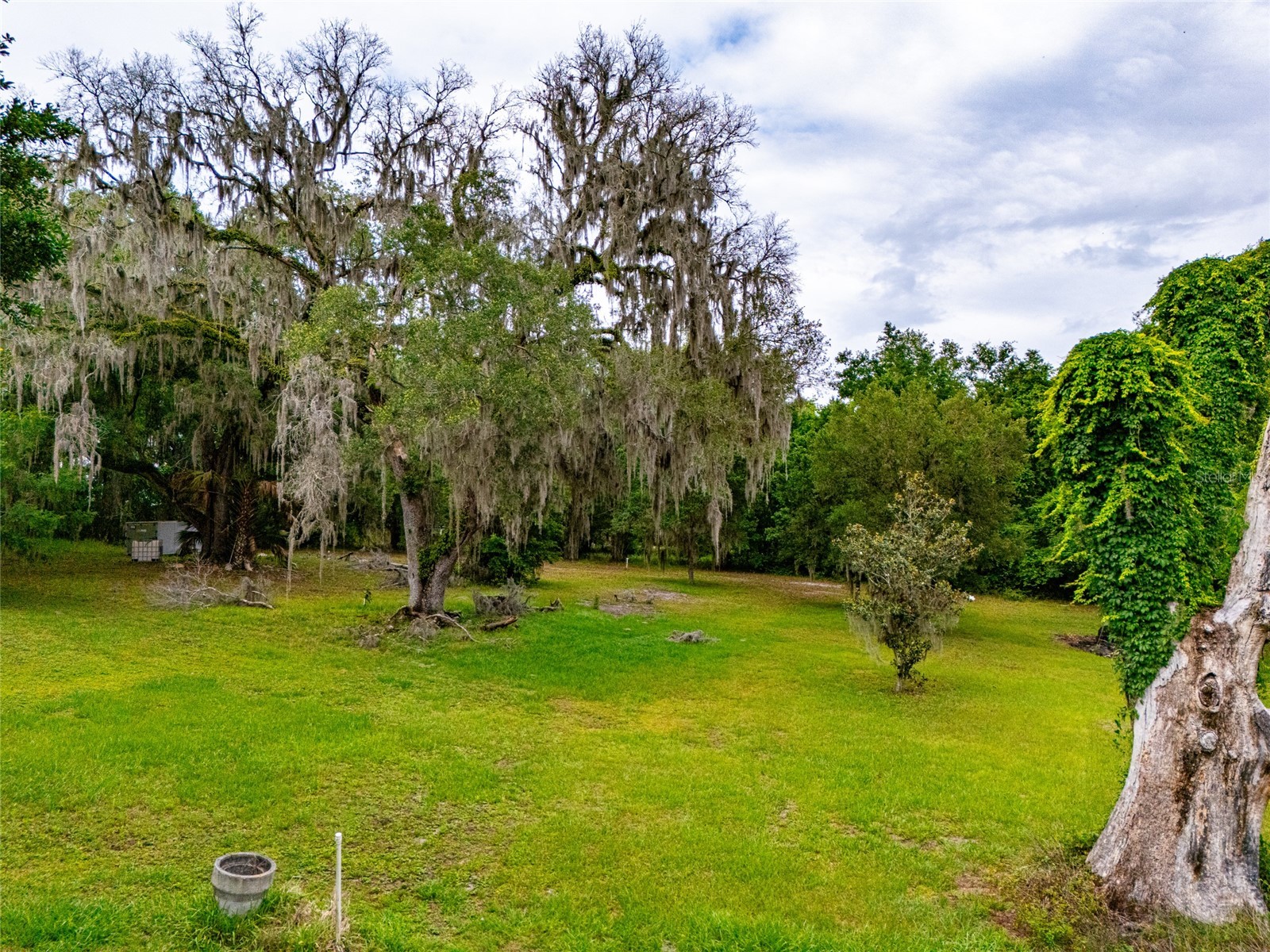 8845 NW 130th Street Reddick FL 32686 A4693749 image25