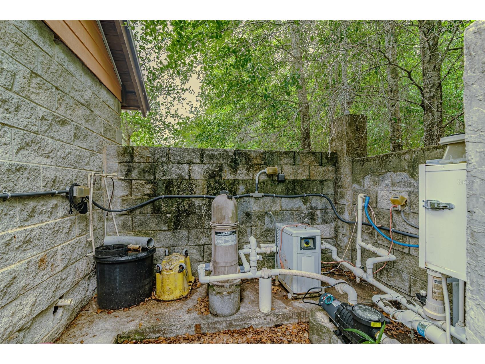 8845 NW 130th Street Reddick FL 32686 A4693749 image6