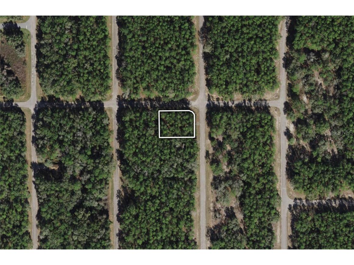 8846 N Bambury Terrace Citrus Springs FL 34434 OM651960 image1