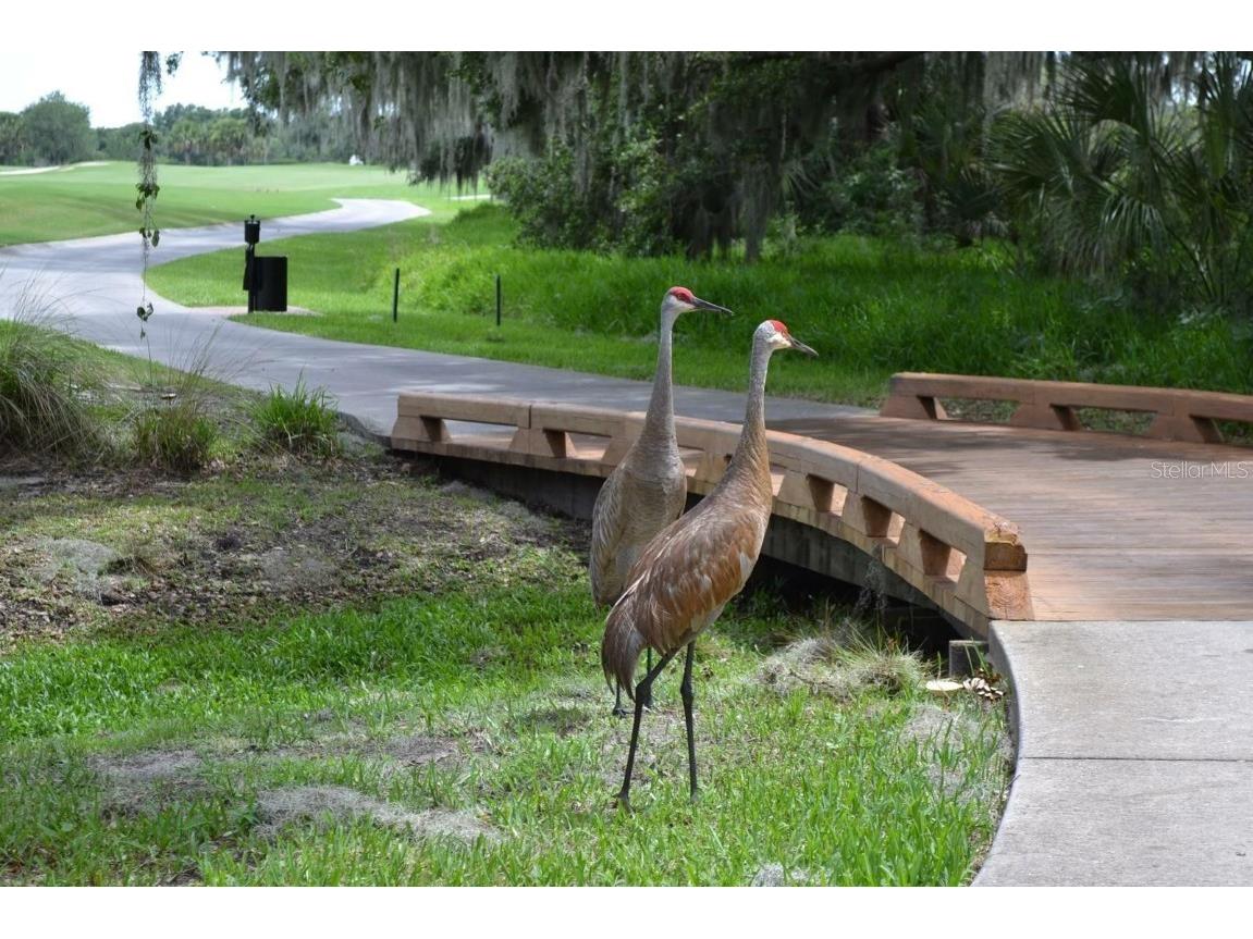 8847 Colonels Court Sarasota FL 34240 A4644165 image82