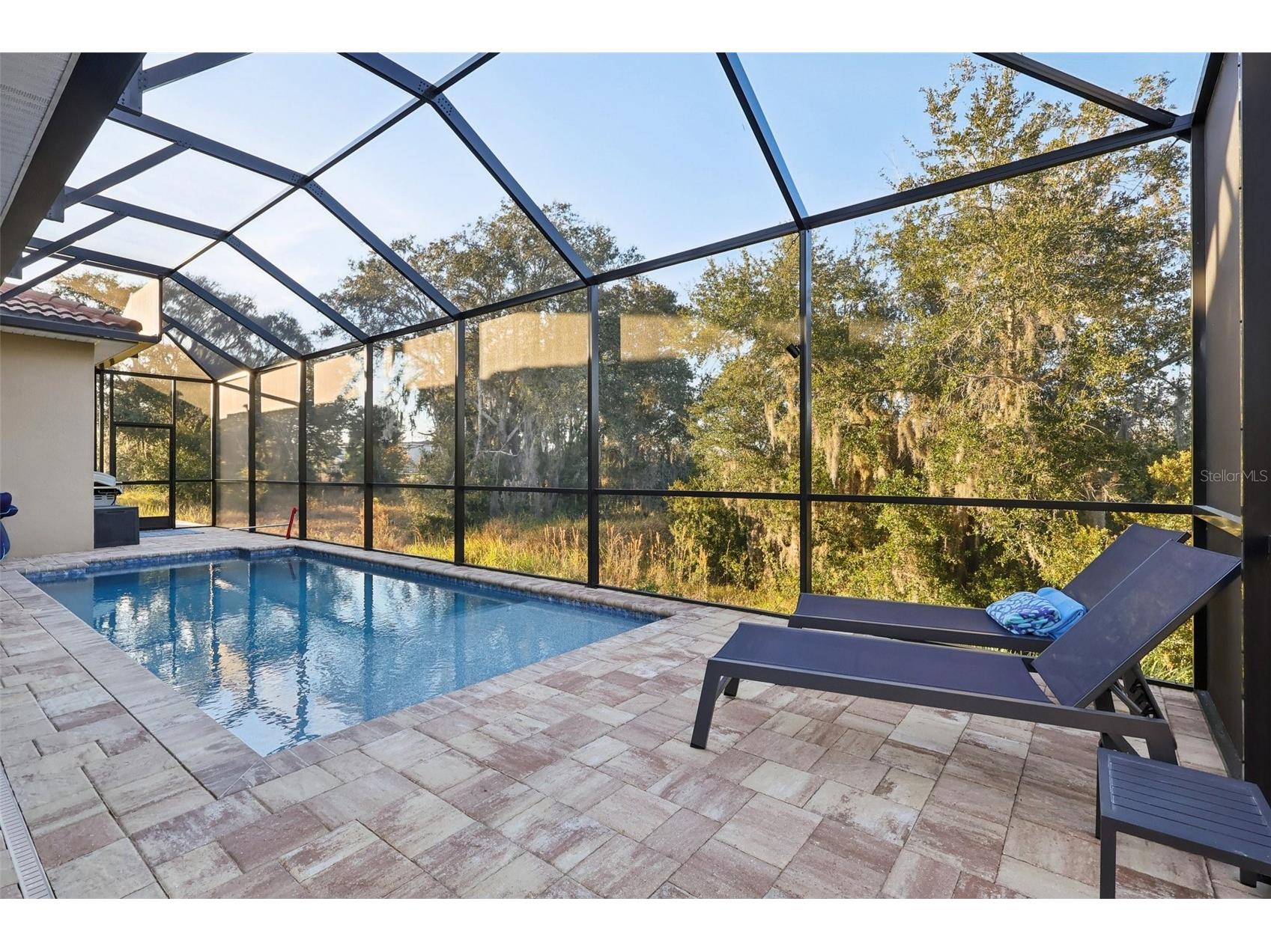 8847 Fallen Oak Drive Davenport FL 33896 O6378015 image41