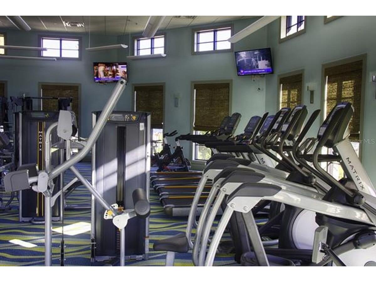 8847 Fallen Oak Drive Davenport FL 33896 O6378015 image60