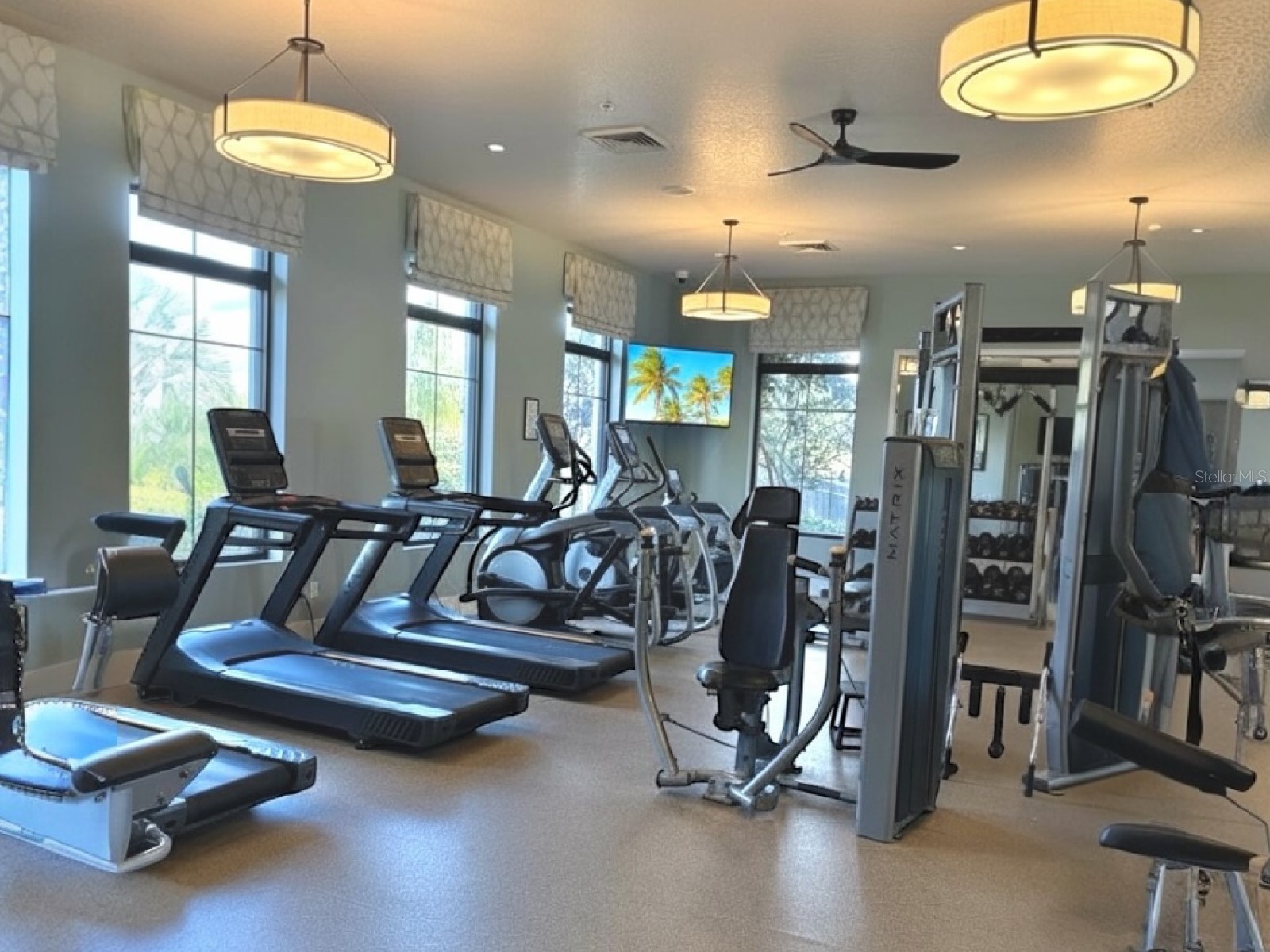 8847 Fallen Oak Drive Davenport FL 33896 O6378015 image66