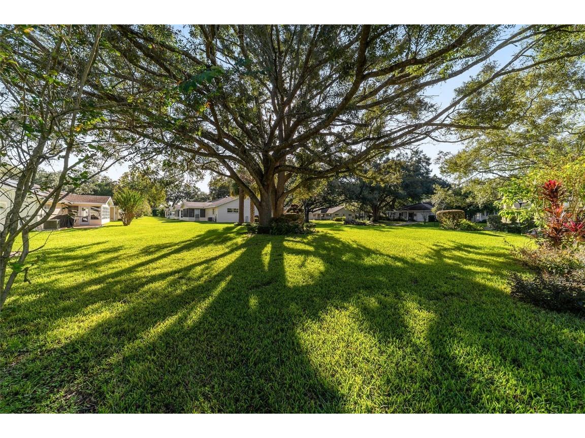 8848 SW 96th Lane #B Ocala FL 34481 OM712315 image33