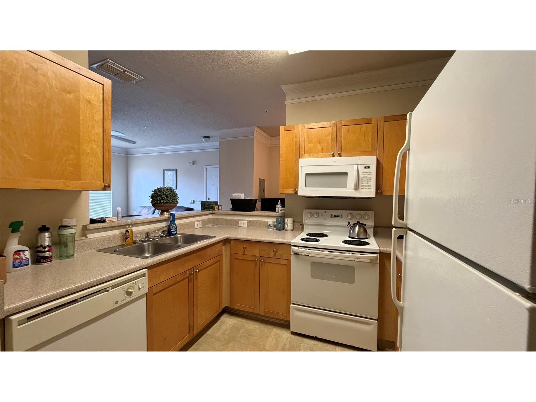 8849 Villa View Circle #302 Orlando FL 32821 S5153046 image6