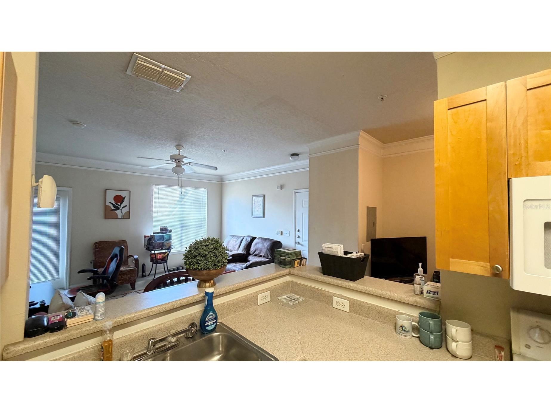 8849 Villa View Circle #302 Orlando FL 32821 S5153046 image7